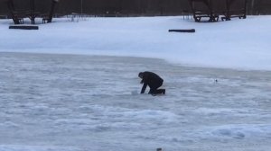 поимка форели на молька