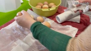 Обзор хозяйства/моем яйца/внучок нахулиганил