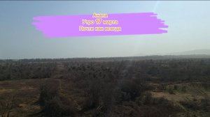 Анапа.Утро 17 марта. Почти как всегда