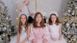 ДОМИСОЛЬКИ «Снежинка"