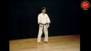 22 - Ката Мэйкё (Meikyo) Шотокан Каратэ