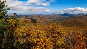 Библио-обзор «Заповедное Приморье»