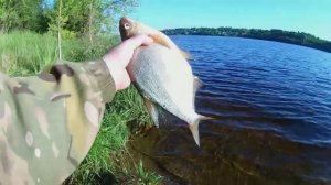 ЛОВЛЯ ЛЕЩА НА ПЕНОПЛАСТ.РЫБАЛКА НА ВЕРХНЕЙ ВОЛГЕ.