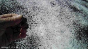 Внесение вермикомпоста по снегу