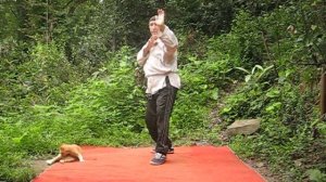 2. переход из узкой стойки в широкую._Trim