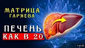 Мощное Омоложение Печени ☀️ Матрица Гаряева Восствновление и Регенерация Печени