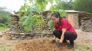 Завершила строительство каменного забора. Посадила декоративные цветы. Серия 11. Се