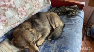 Выгоняю ее из дома