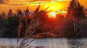 Чем порадует и удивит Вас текущая неделя?🤔🍀🌹