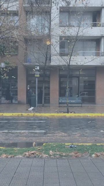 Босиком по мостовой #shorts #ehomusic #эхомузыка #эхомотив  #музыкальность