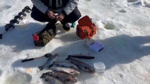 17.03.26 г. РК Волна.