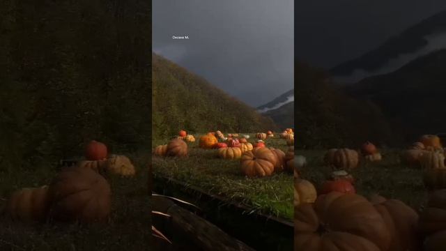 Красная поляна, Роза Хутор, Сочи, ноябрь 2024 года.mp4