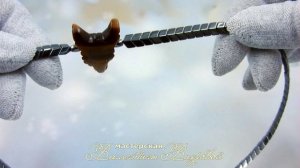 Волк, ожрелье - оберег, тигровый глаз и гематит