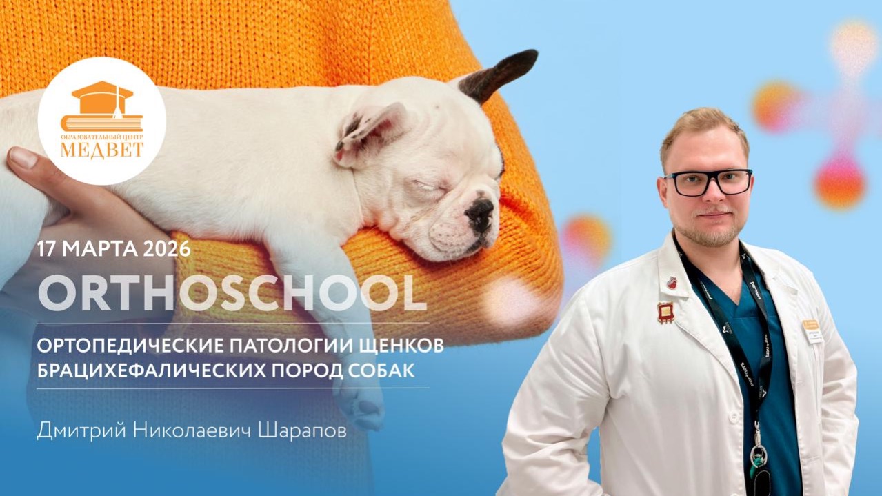 Вебинар "ORTHOSCHOOL. Ортопедические патологии щенков брахицефалических пород собак"