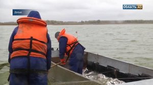 Зима на пользу: как прошлогодний паводок повлиял на рыбные запасы Курганской области