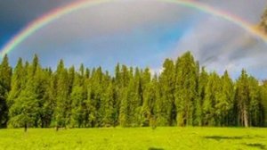 От  тоски  и  печали  ухожу  я  в  поля...