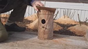 Строим скворечник