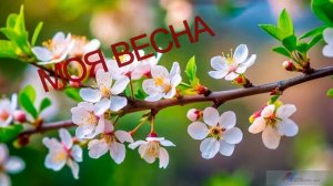 МОЯ ВЕСНА  - исполнение Александра Сергеенкова