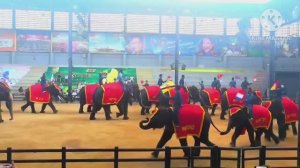 ТАЙЛАНД. ПАТТАЙЯ . ЭКСКУРСИЯ В ТРОПИЧЕСКИЙ ПАРК НОНГ НУЧ. ШОУ СЛОНОВ