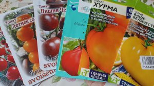 Выбор томатов на сезон 2026 г.