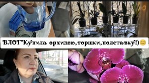 ВЛОГ"Купила орхидею,горшки,подставку!)😊