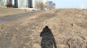 Гуляем по набережной Невы в Санкт-Петербурге. Стали свидетелями как ворона угнетает уток