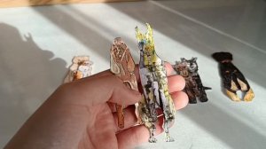 обзор на моих питомцев