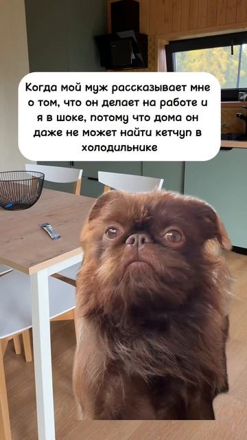 Когда муж умнее всех на работе, но дома нет 😅