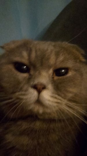 всем привет хочу 100 подписчиков 😍😁