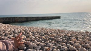 АДЛЕР МАРТ / ПОКАЖУ ГДЕ ЕСТЬ КРАСИВЫЕ РАКУШКИ