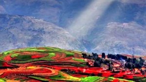 буду помнить автор Олег Сапегин исп. Екатерина Пономарева