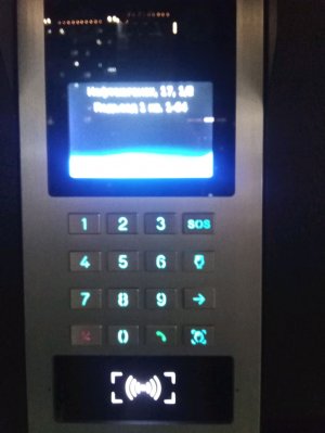 Страдаем фигнёй