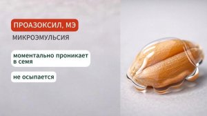 ПРОАЗОКСИЛ | УНИКАЛЬНЫЙ ПРОТРАВИТЕЛЬ ГК «ШАНС»