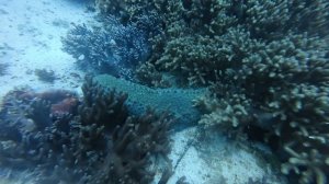 Панглао 2026. Dakit Dakit, Spanish Tower