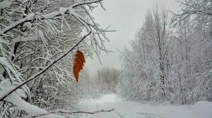 Листок  (на русском  и  японском языке)