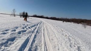 Влог из деревни ! Древний заброшенный монастырь и святой источник ! Красоты ... #России #природа