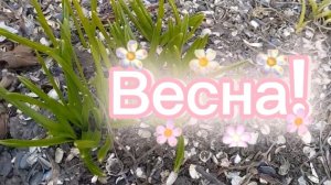 Весна .Мой огород. С днем рождения ,Маша!