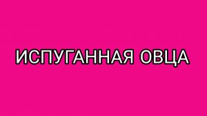 Агрессивный мат. Было страшно смотреть!