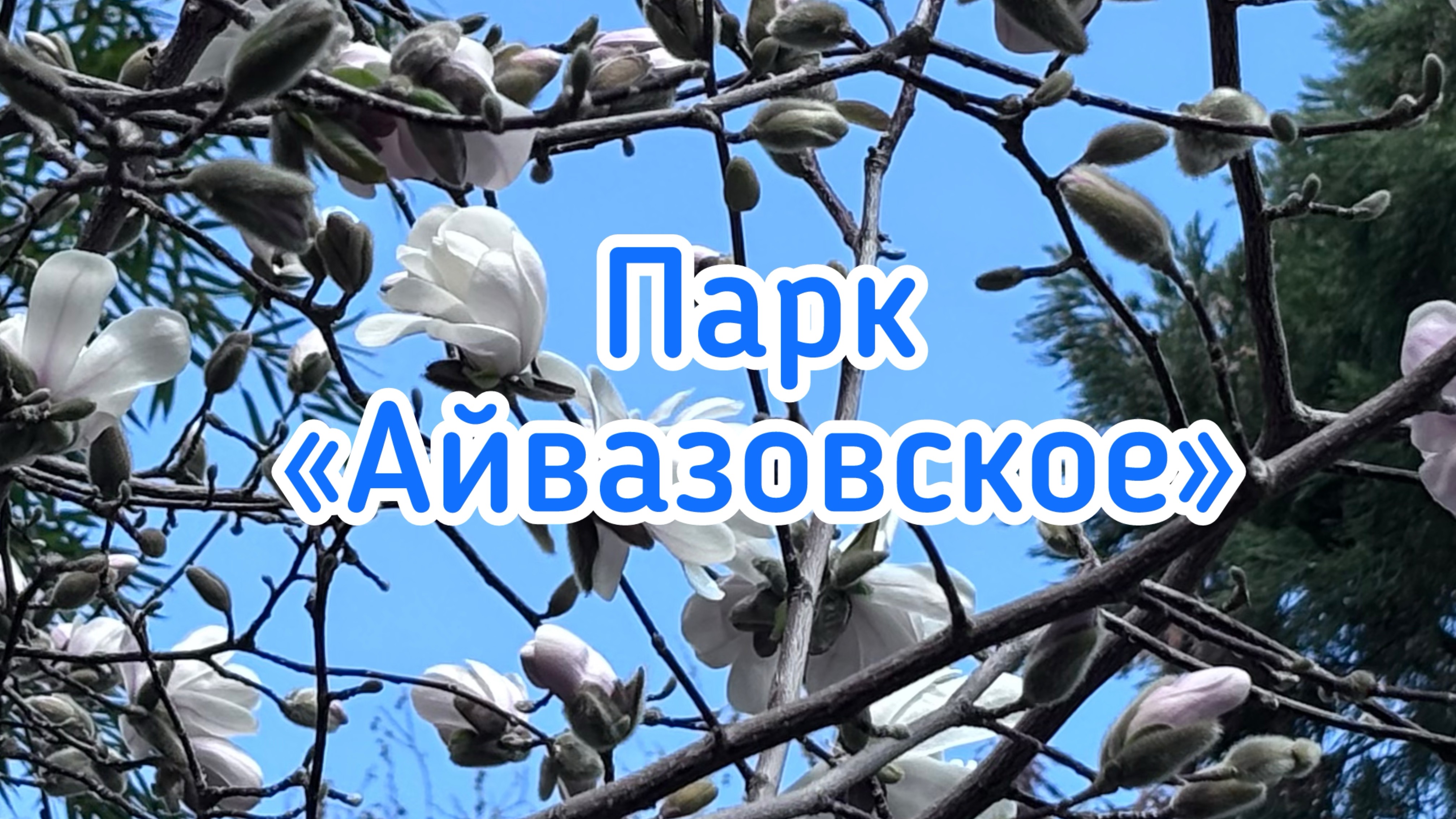 Партенит 2026. Парк «Айвазовское»