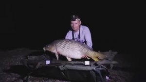 Рыбалка на сазана. 24 часа хороший клёв крупной рыбы.