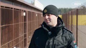 1. Как живет самая знаменитая белорусская собака Дарк   Распорядок дня, больничные и ботинки для лап