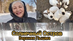 На территории Солнечного Острова. Развлекаемся, знакомимся.