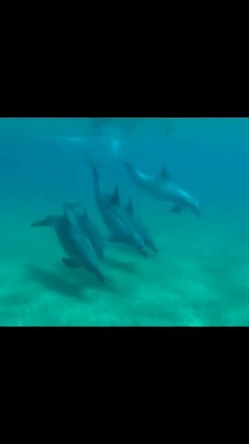 #достопримечательности #путешествия #природныеЧудеса #великиеМеста #экскурсии #архитектура