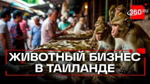 Клетки и уголовка в Таиланде: к чему приводит жалость туристов к животным?