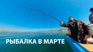ОКУНЬ И ТРЕСКА АТАКУЮТ! Рыбалка в море с лодки. Кабардинка. Чёрное море.