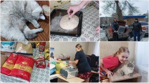 СПОНТАННАЯ ЗАКУПКА ПРОДУКТОВ | МУЖ ПЕРЕЕЗЖАЕТ | СИЛЬНЫЙ ТУМАН В ГОРОДЕ | ПРОДОЛЖАЮ ШИТЬ ПЛАТЬЕ