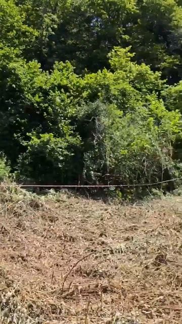 КРАСНОДАРСКИЙ КРАЙ, ТУАПСИНСКИЙ Р-Н , АГОЙ, УЧАСТОК 11.1 СОТ (ИЖС)