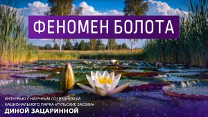 Феномен болота. Интервью с кандидатом биологических наук Диной Зацаринной.