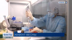 ФАКТЫ. Выпуск от 17.03.26