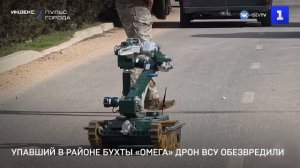 Упавший в районе бухты «Омега» дрон ВСУ обезвредили